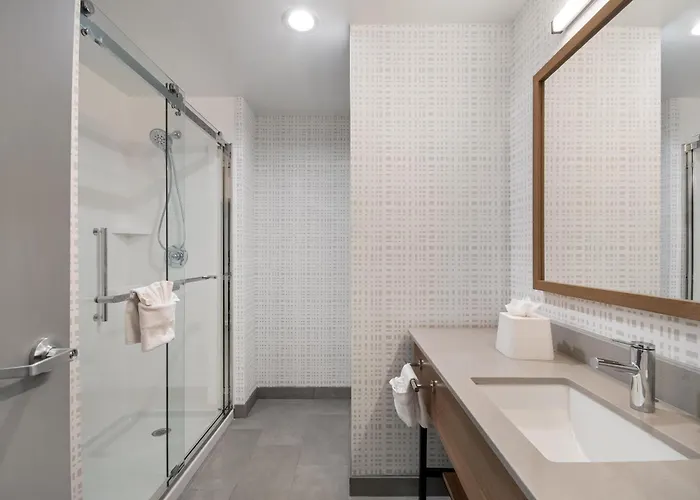 Hampton Inn & Suites By Hilton Irving Dfw Airport North