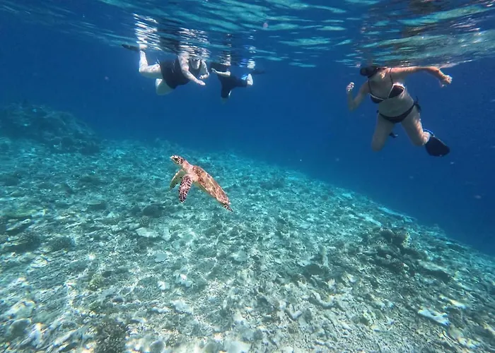 Island Scuba