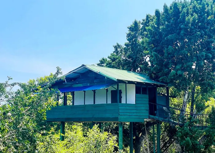 Green Tree House Yala