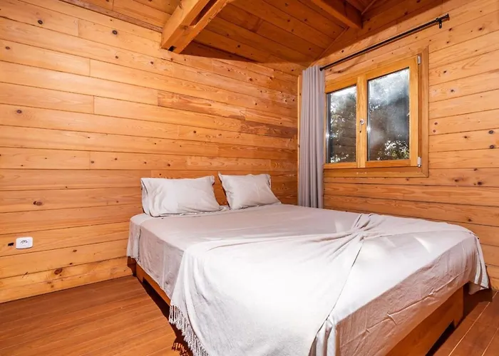 Chalets&SPA à l'eau thermale