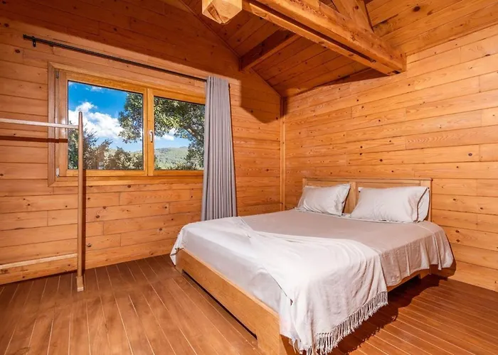 Chalets&SPA à l'eau thermale