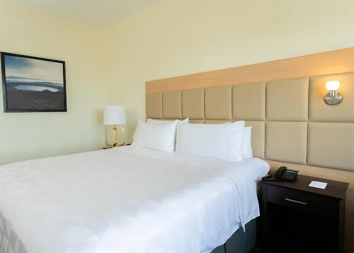 Holiday Inn San Salvador, an IHG Hotel