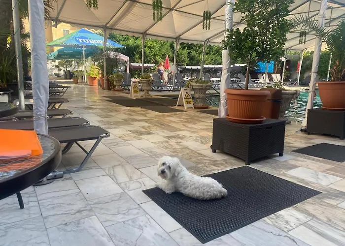 Hotel Ostrov