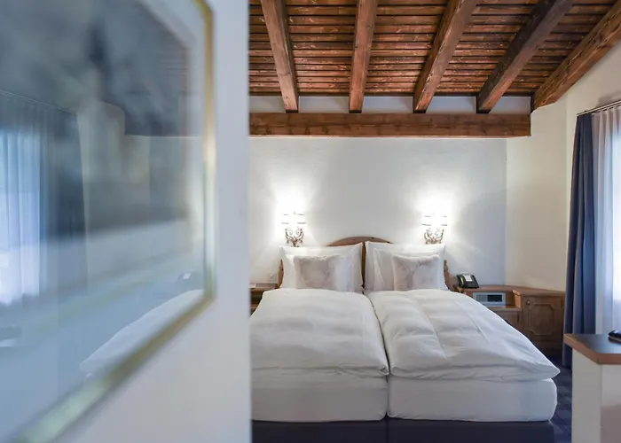Soldanella by Hotel Adula