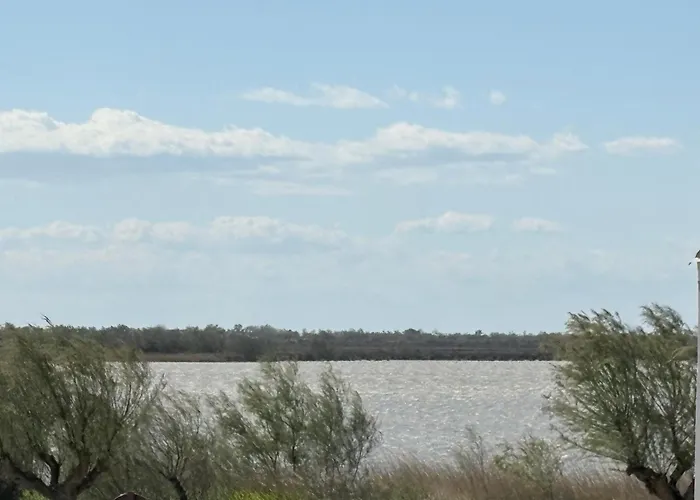 Hotel Le Neptune En Camargue