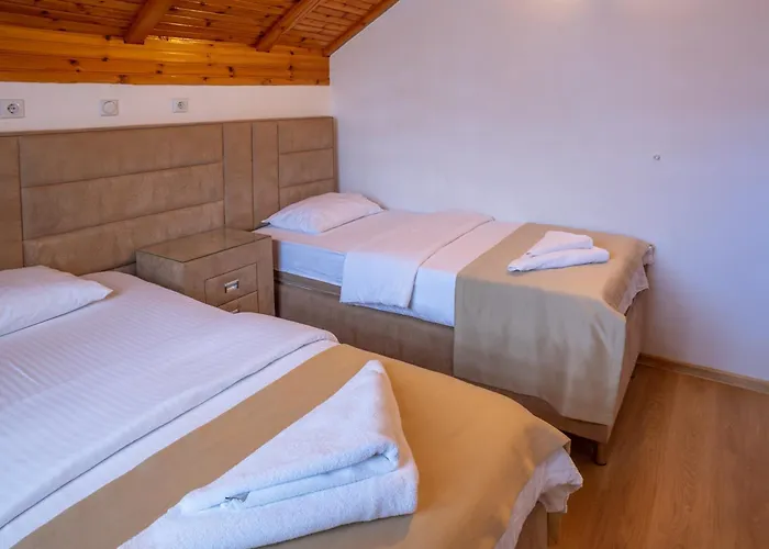 Hotel Pavlovic