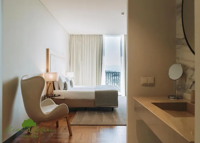Olive Nature Hotel & Spa - Quinta Valle De Passos