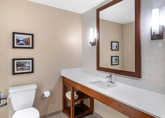 Comfort Inn & Suites Clarkston Pine Knob Area