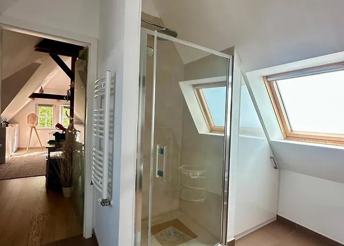 Studio 50M2 Au Bord De L'Eau A Strasbourg