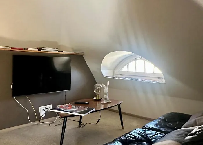 Studio 50M2 Au Bord De L'Eau A Strasbourg