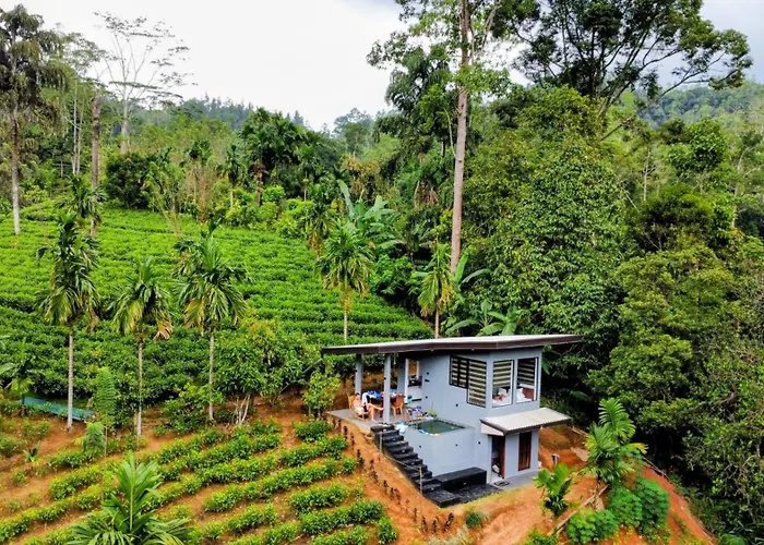 Rainforest cabin