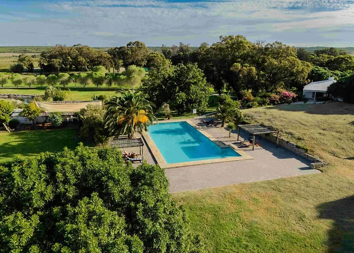 Springfontein Wine Estate