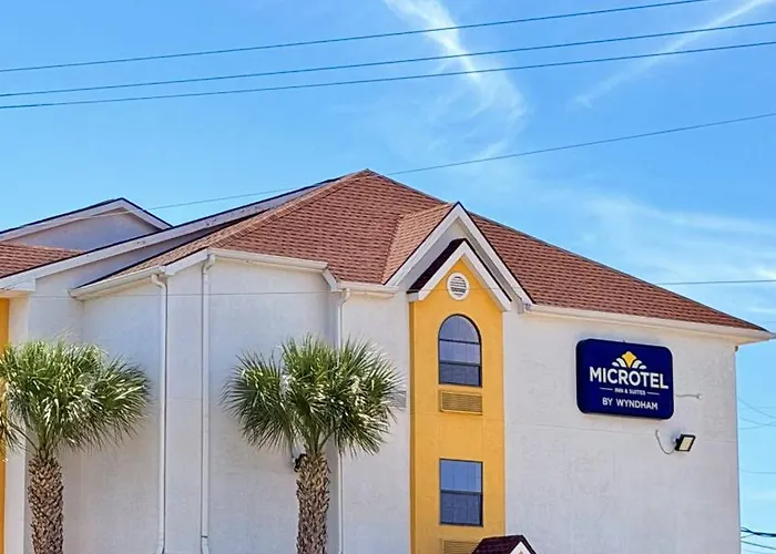 Microtel Inn & Suites By Wyndham New Braunfels I-35