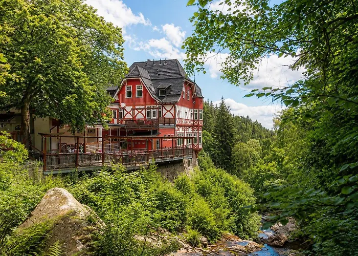 Waldgasthaus & Berghotel Steinerne Renne