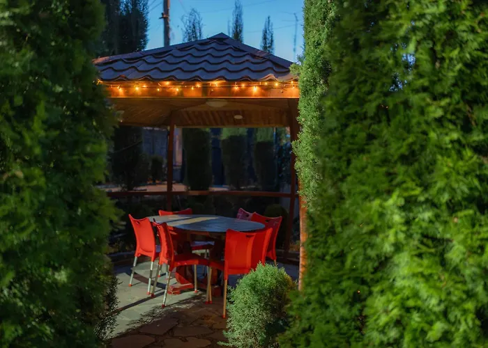 Სასტუმრო Ამელი/Hotel Ameli