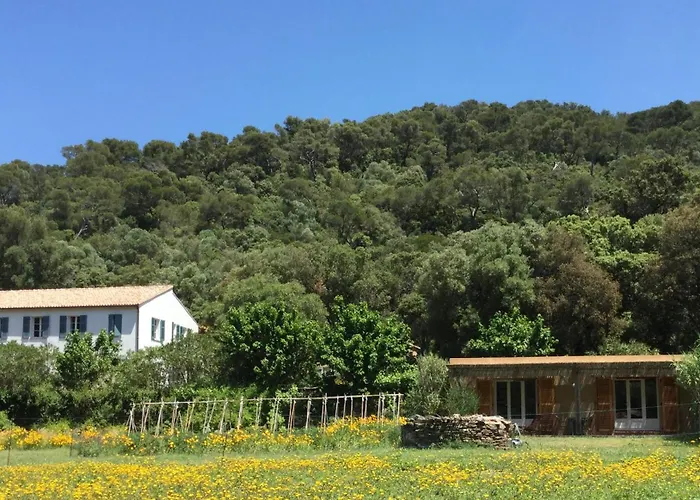 Le Manoir De Port-Cros