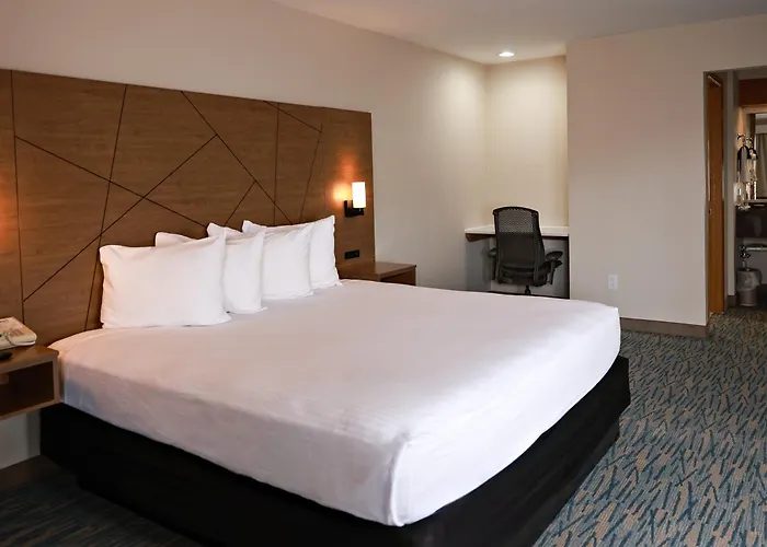 Rivertree Inn & Suites