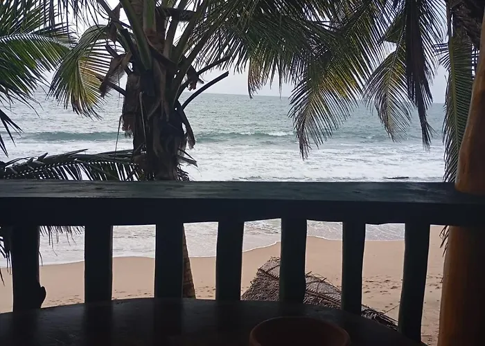 The Alpha Monkey Hotel & Tree House