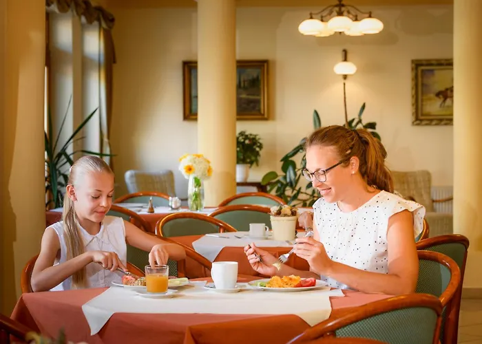 Ametiszt Hotel Harkany