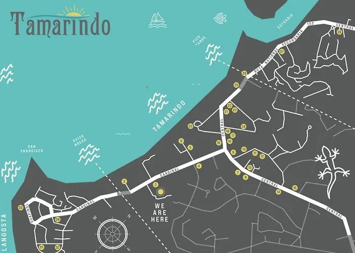 Tamarindo Sunshine