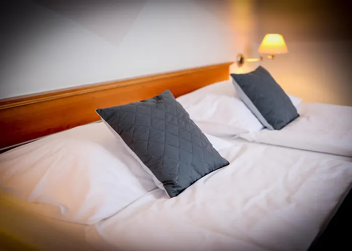 Lh Hotel Dvorak Tabor Congress & Wellness