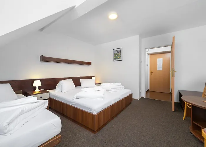 Horsky Hotel Jelinek