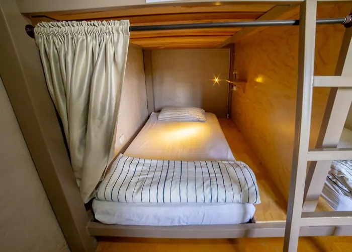 Coffee Tree Boutique Hostel