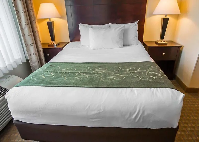 Comfort Suites University Area Notre Dame-South Bend