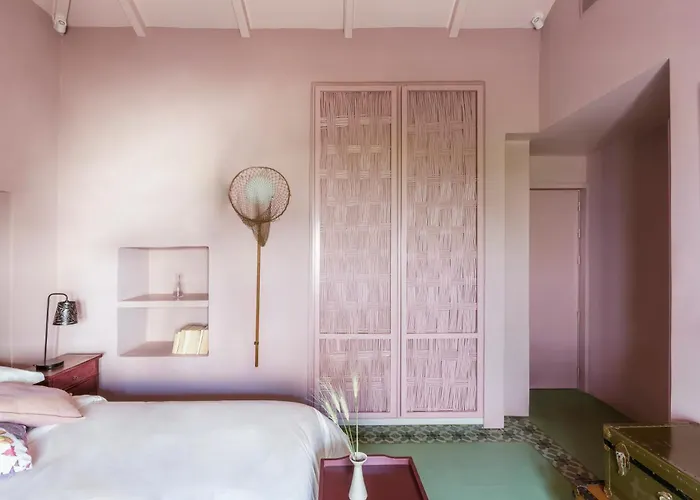 Cactus Hydra - Art Apartments