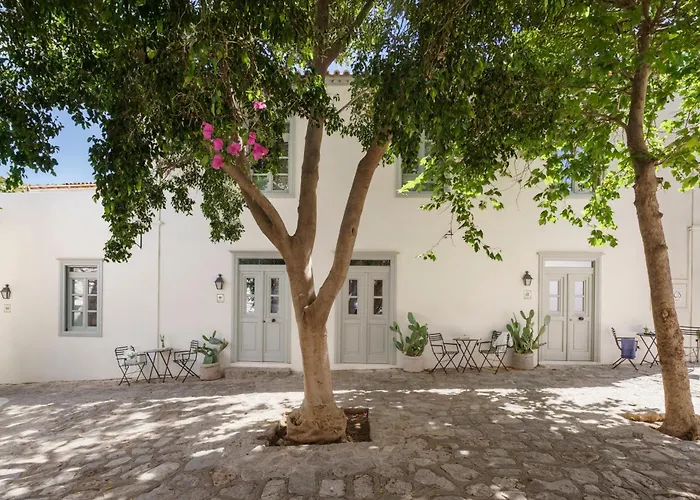 Cactus Hydra - Art Apartments