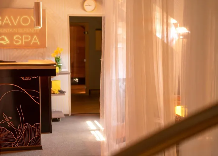 Hotel Savoy Spindleruv Mlyn