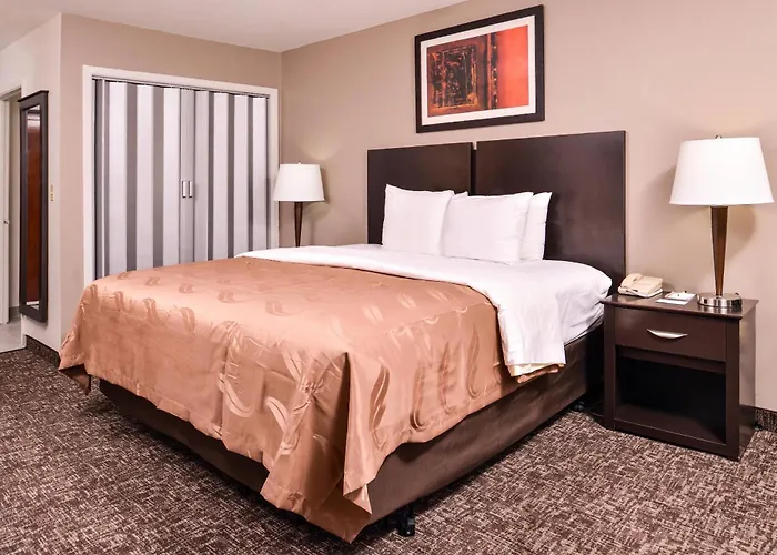 Quality Inn & Suites Beaumont
