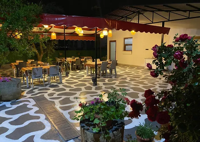 Olive House