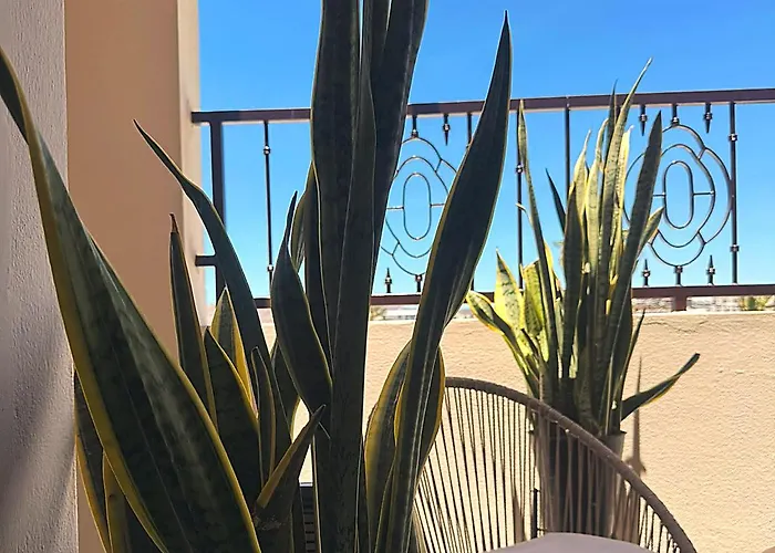 Casa Palma 2