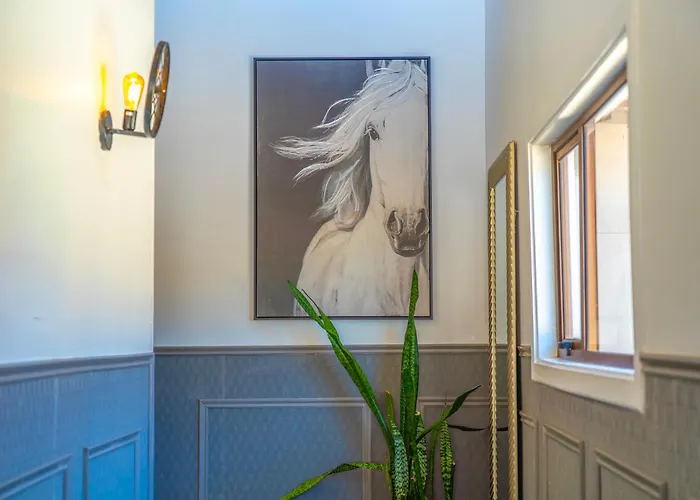 Hare Nua Hotel Boutique