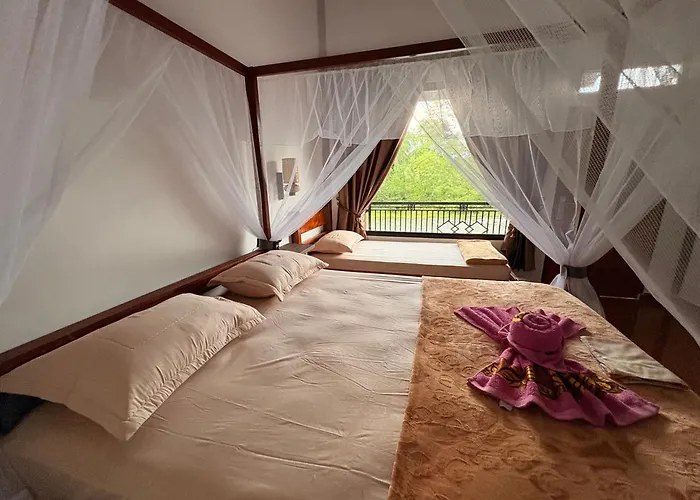 Asim Paris Guesthouse & Jungle Trekking