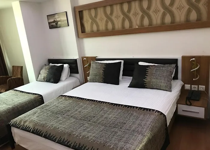 Afyon Grand Ari Hotel