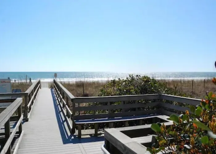 Ocean Forest Colony