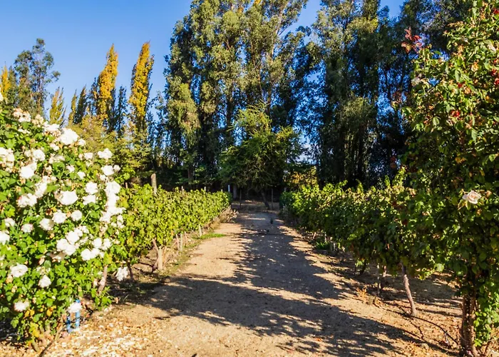 Hotel Boutique Raices De Colchagua