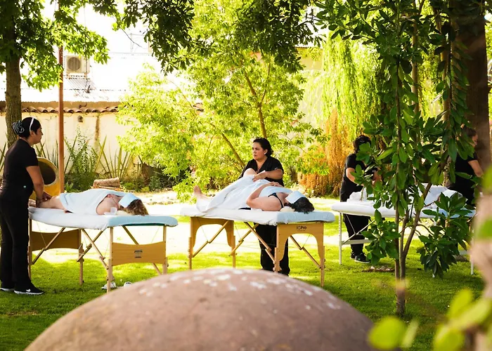 Hotel Boutique Raices De Colchagua