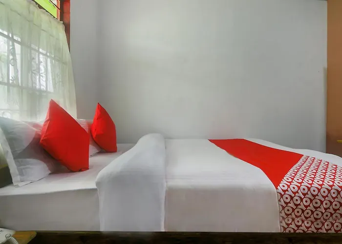 Hotel O Bell'S Bigxa Homestay