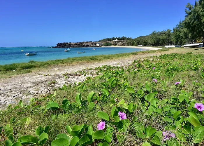 Le Marin, Rodrigues Island