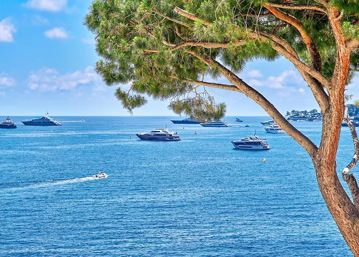La Réserve de Beaulieu