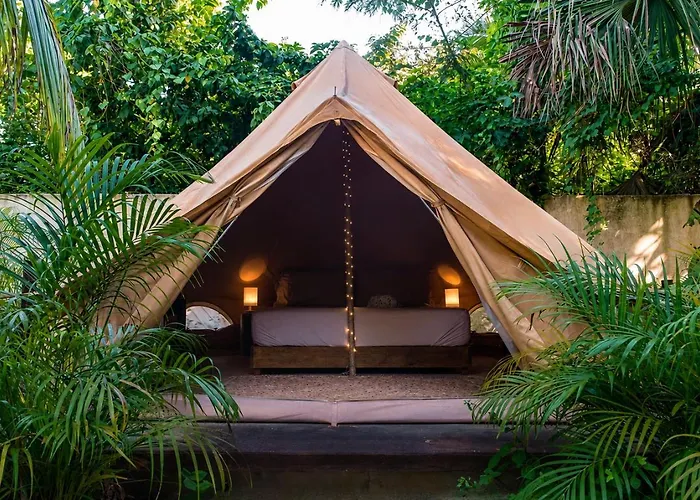Shamalay - Nomad Experience