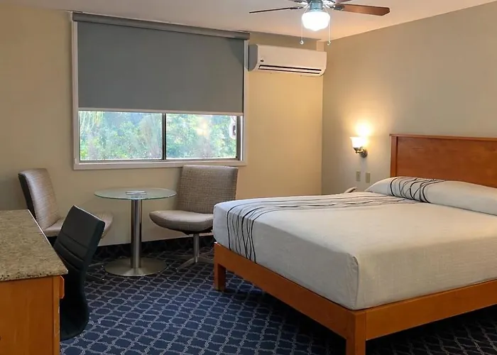 Hotel Leon