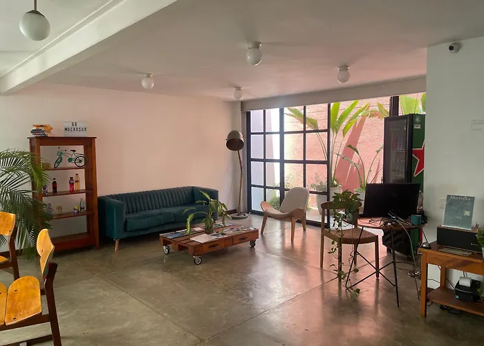 Muchosur Santa Marta