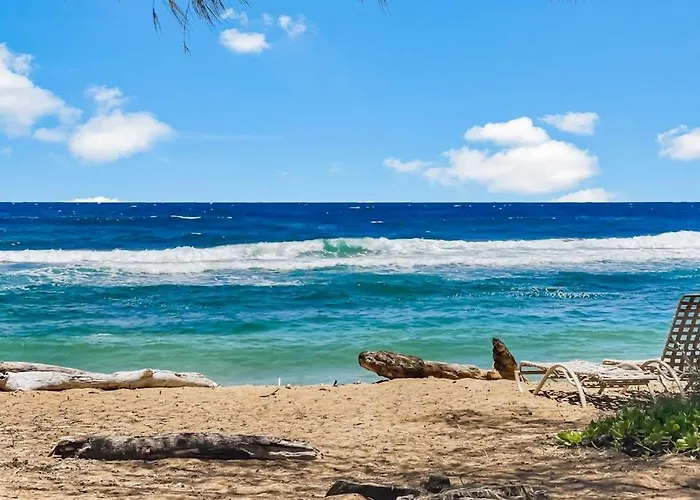 Islander On The Beach 164