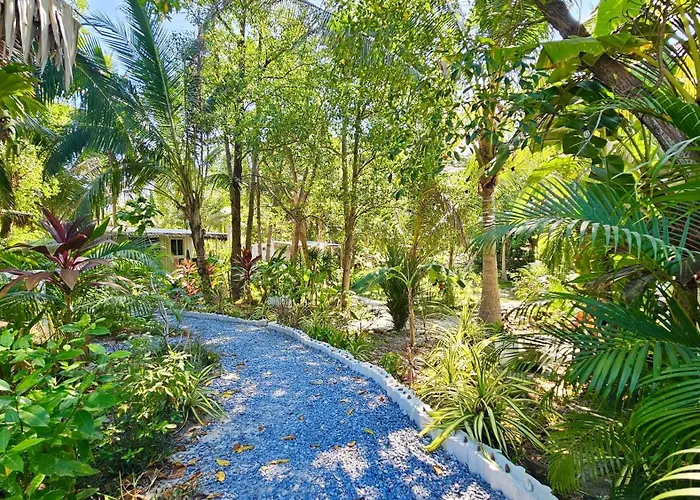 Secret Palm