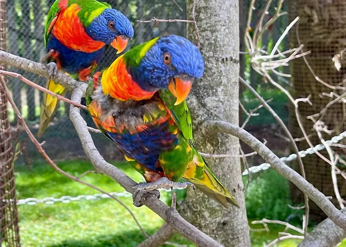 Suite Cotinga, balnéo, bien-être, Parc des Oiseaux