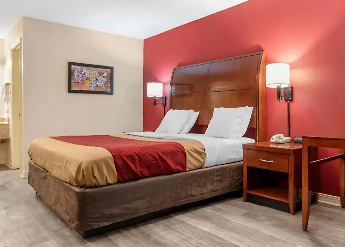 Econo Lodge Pearl - Jackson